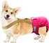 Paw Inspired Dog Diaper Suspenders | Adjustable Stretchy Suspenders for Disposable & Washable Diapers, Fits Small to