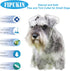 Natural Ingredients Flea Collar for Small Dogs - Safe and Effective Waterproof Flea and Tick Collar, 2-Pack