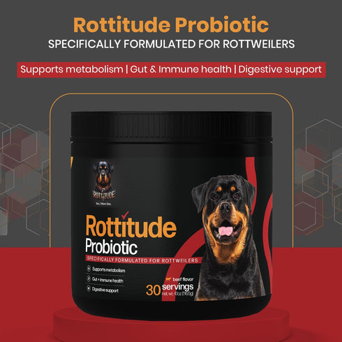 Rottitude Probiotics for Dogs Natural Dog Probiotics for Digestive Health, Gut Health, Yeast, Itchy Skin & Itchy Ears