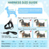 SlowTon No Pull Small Dog Harness and Leash Set, Puppy Soft Vest Harness, Adjustable Reflective Lightweight Harness &