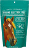 Celtic Tradition Equine Electrolytes Natural Mineral Salt Supplement for Horses | Replenishes