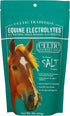 Celtic Tradition Equine Electrolytes Natural Mineral Salt Supplement for Horses | Replenishes