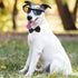 Dog Bow Tie, KOOLMOX Adjustable Black Pet Tuxedo Collar with White Bow Tie for Medium Large Dogs