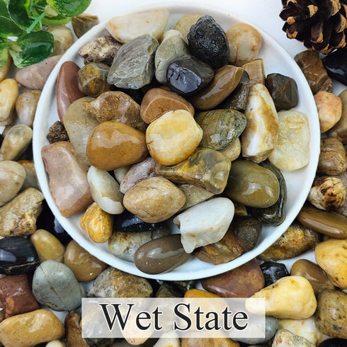 2lbs Natural Mixed Pebbles 5/8" for Fish Tank, Decorative Polished River Rocks for Landscaping