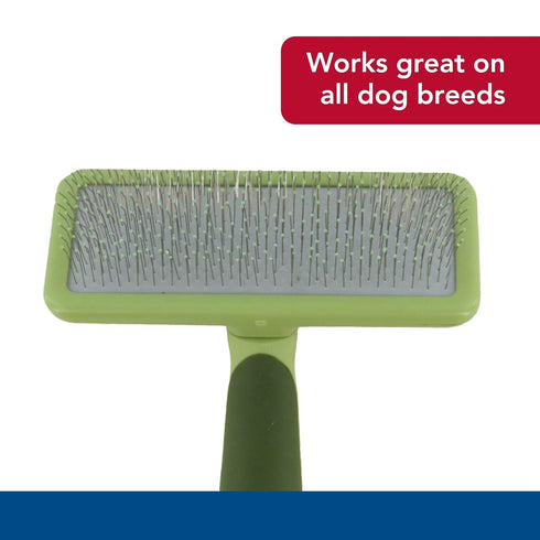 Coastal Pet Safari Dog Soft Slicker Brush - Grooming Brush for Shedding, Large, 6.75" x 4.375"