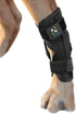 Powerful Dog Canine Rear Leg Hock Joint Brace - Large Compression Wrap for Dog Back Leg Support