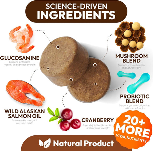 170 Immune Turkey Tail Mushroom for Dogs - Chews - Lions Mane - Shiitake - Reishi - Buddy Support Guard - Mushroom