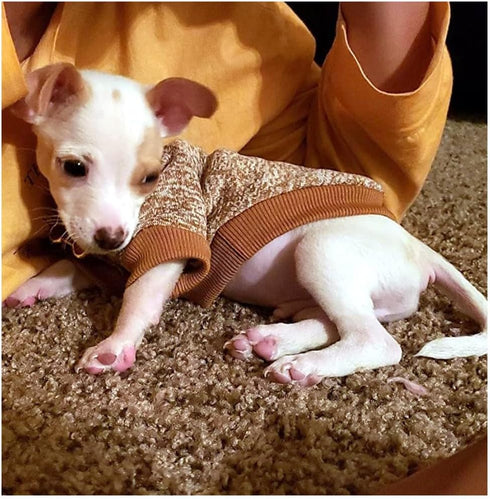 Pet Dog Classic Knitwear Sweater - Warm Winter Puppy Coat for Small Dogs (XS, Khaki)