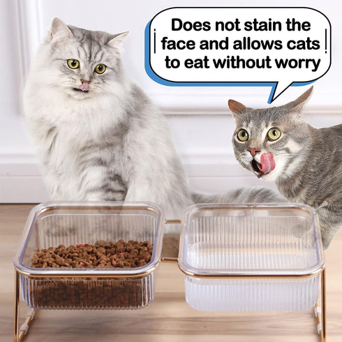 Elevated Double Cat Bowls, 5.7" Pets Water and Food Bowl, 15° Tilted Transparent Raised Dishes with Iron Stand, Rose