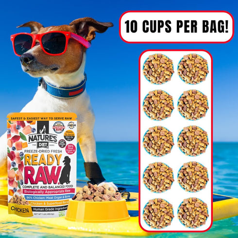 96% Nature's Diet Ready Raw : Freeze-Dried Raw Dog Food, Chicken, Human Grade, High Pressure Pasteurized (HPP), Meat