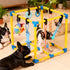 10 WLLEYAY Puppy Play Gym for Small Dogs with Hanging Toys, Removable Indoor Jungle Gym, PVC Frame with Adjustable