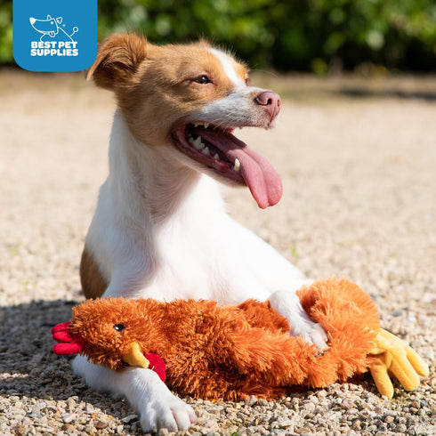 Best Pet Supplies Chicken Crinkle Plush Dog Toy for Interactive Play, Cute Brown Chicken Shape