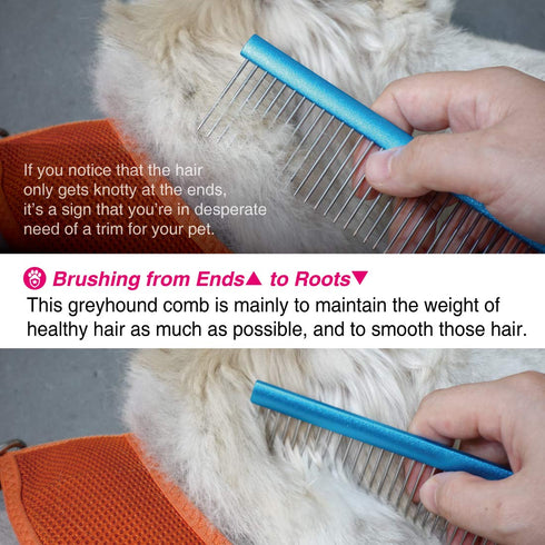 Greyhound Comb for Dogs & Cats, Oval Handle, Metal Comb with Stainless Steel Pins, Detangling Grooming Tool