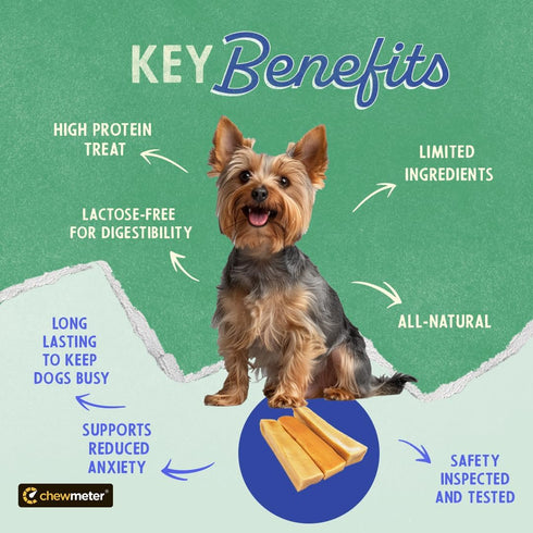 Chewmeter Himalayan Yaky Cheese Chew, 100% Natural, Long Lasting, Gluten Free, Healthy & Safe Dog Treats, Lactose & Grain Free, Protein Rich, Stain Free, Small, For Dogs 15 Lbs & Smaller, 3.3 Ounce