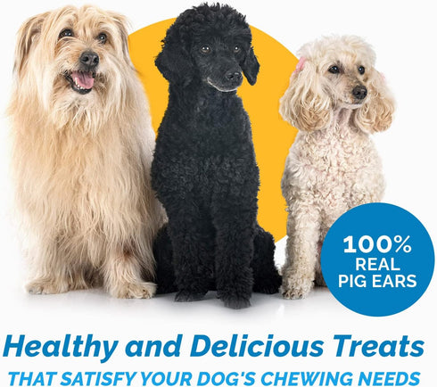 Pig Ears for Dogs, 100% Natural Long Lasting Pork Chews, Ideal for All Chewers, Half Pig Ears (One Pack of 30)