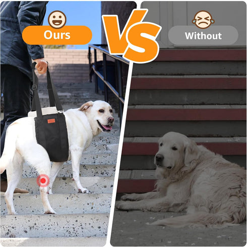 Adjustable Dog Sling Harness for Large Dogs, Soft Lift Support for Weak Rear Legs, Rehab for Senior and Injured Dogs