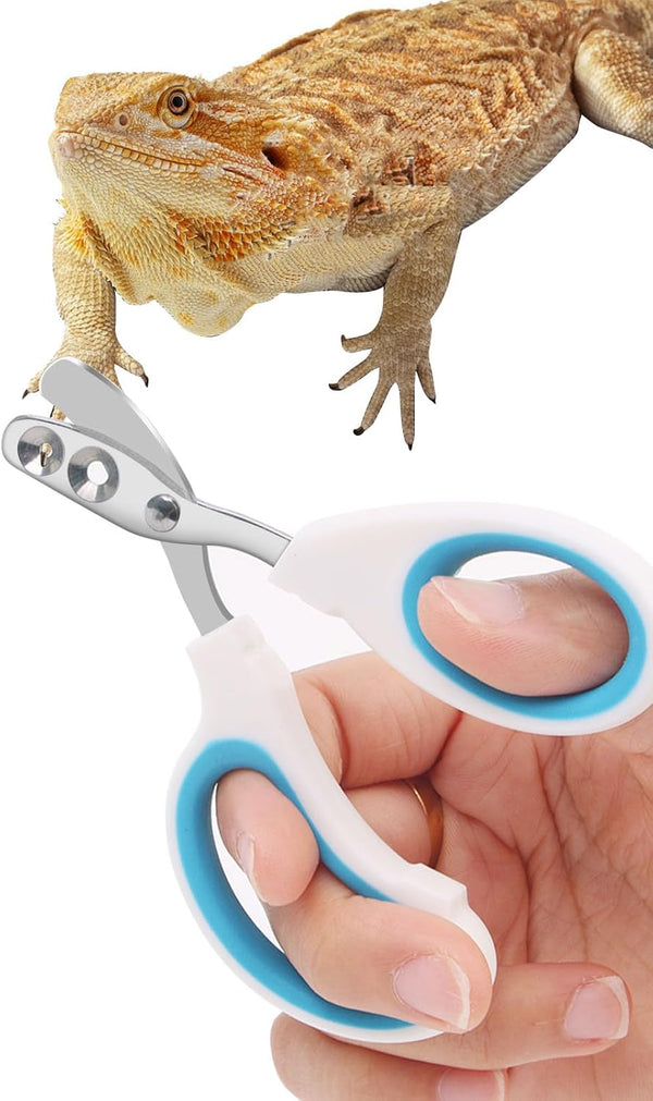 Engorgio Stainless Steel Bearded Dragon Nail Clippers,Lizard Nail Clippers,Bearded Dragon Supplies,Bearded Dragon Nail