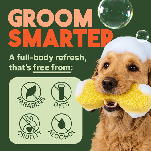 2-in-1 20oz. TropiClean Dog Shampoo and Conditioner, Moisturizing Dog Detangler, Puppy Safe, Made in the USA, Papaya