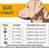 Dog Choke Collar Slip P Chain, Heavy Chain Metal Training Choke Collars, Adjustable for Small Medium Large Dogs