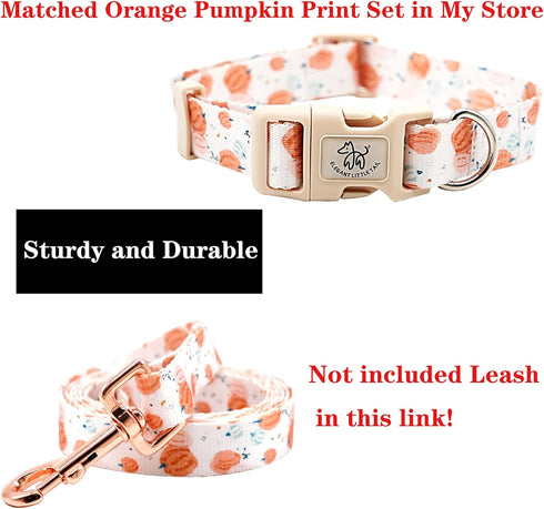 Elegant Little Tail Dog Collar, Halloween Adjustable Collar for Small Medium Large Dogs with Quick Release Buckle (XS,