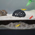 Set, 3-Pack CTWPets Shrimp Breeding Protection Bundle with Hide Dome, Half Protector, Breeding Protector (Black)