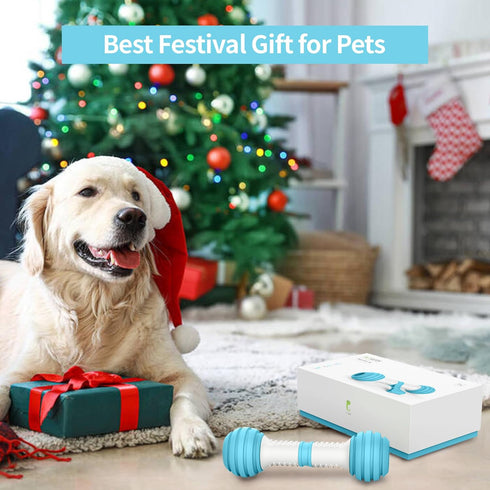 PETGEEK Interactive Dog Bone Toy, Automatic Chase Toy for Medium/Large Dogs, USB Rechargeable, Safe Material, Blue