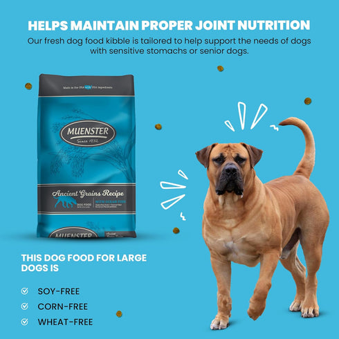 Muenster Ancient Grains Dog Food (4lb) - Ocean Fish Dry Dog Food for Large Dogs – Gluten Free, Non-GMO High Protein