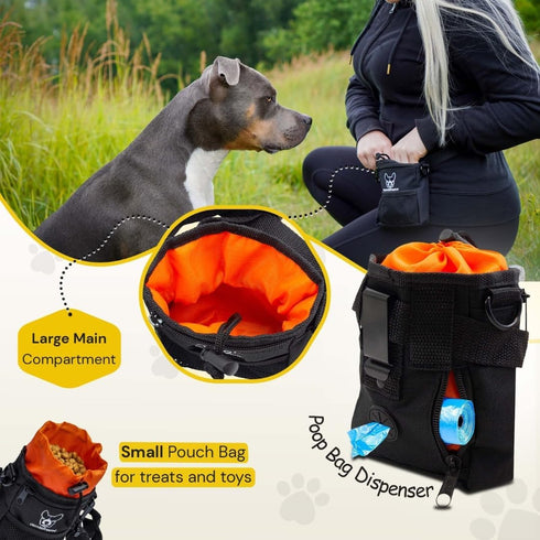 Hundefreund Dog Treat Pouch Bag for Training Dogs - Small Fanny Pack for Treats, Orange (5.5 x 4.3 x 1.6 inches)