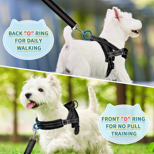 SlowTon No Pull Small Dog Harness and Leash Set, Puppy Soft Vest Harness, Adjustable Reflective Lightweight Harness &