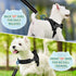 SlowTon No Pull Small Dog Harness and Leash Set, Puppy Soft Vest Harness, Adjustable Reflective Lightweight Harness &