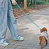 7FT Chew Proof Stretch Dog Leash Cable, Reflective Anti-Pull with Soft Wide Nylon Handle for Small Dogs, Blue