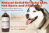 Moosh Natural Dog Shampoo, Promotes Healthy Hair, Coat, and Skin, Helps Hot Spots, Dry Itchy Skin, Pet Odor Eliminator