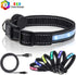Light Up LED Dog Collar, Rechargeable Safety Glow in the Dark, Adjustable for Small/Medium/Large Dogs, L Size