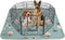 IEUUMLER Washable Pee Pads for Dogs Extra Large 71" x 71", 1