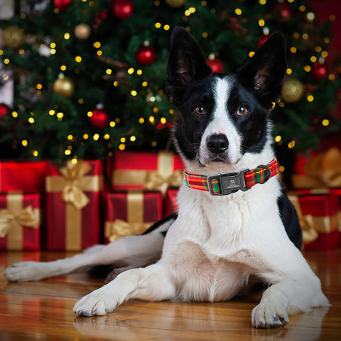 Lionheart Glory Christmas Plaid Dog Collar, Adjustable Soft Dog Collars for Small Medium Large Dogs, Pet Gift Red