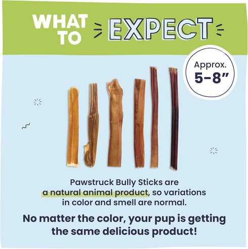 Pawstruck Natural 5-8" Bully Sticks for Dogs - Long Lasting, Rawhide Free, Low Odor Dental Chew Treat - 1 lb. Bag