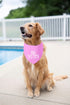 Big Sister Dog Bandanas Pink Dog Scarfs for Small Medium Large Dogs, New Baby Announcement Pet Accessories Pregnancy
