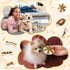 6 Pieces Dog Chew Toys for Aggressive Chewers, Real Beef Flavor, Durable Nylon, Small Breed Puppies