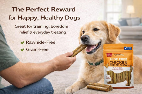10 Pack 7" (2.4lb) Dog Chews Rawhide-Free - Chicken Dental Treats for Large Dogs, Grain-Free Digestible Chews, Rolls by