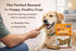 10 Pack 7" (2.4lb) Dog Chews Rawhide-Free - Chicken Dental Treats for Large Dogs, Grain-Free Digestible Chews, Rolls by