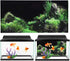 GLOGLOW Aquarium Background Sticker - PVC Adhesive Landscape Image Fish Background Poster Sticker