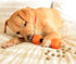 Friends Forever Dog Chew Toy, Interactive Treat Dispensing Puzzle Toy, Non-Toxic Durable Natural Rubber, Pink/Orange 2