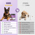 200pcs Glucosamine for Dogs Joint Support Supplement Dog Hip and Joint Chondroitin Chews Treats with MSM Dog Joint Pain