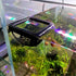 Bingche 2pcs 3-in-1 Hammock Aquarium Floating Cave Fish Shrimp Hideout Shelter Feeding Ring and Resting Spot(Green)