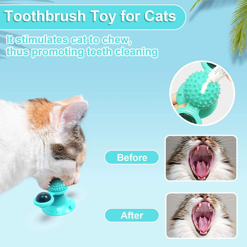 GBSYU Interactive Windmill Cat Toys with Catnip : Cat Toys for Indoor Cats Funny Kitten Toys with LED Light Ball