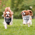 2 Packs Our Humans are Getting us a Baby Dog Bandana Pregnancy Announcement Dog Scarf Accessories Gender Reveal Baby