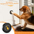 1000Ft 55 Ownpets Smart Dog Door Bell, Wireless Dog Doorbell for Potty Training & Housebreaking, Dog Bell to Go