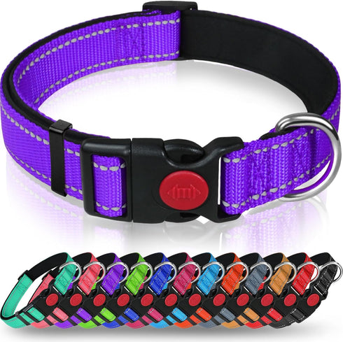 Taglory Reflective Dog Collar with Safety Locking Buckle, Adjustable Nylon for Puppy Dogs, XS, Purple