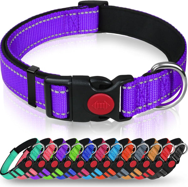 Taglory Reflective Dog Collar with Safety Locking Buckle, Adjustable Nylon for Puppy Dogs, XS, Purple