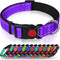 Taglory Reflective Dog Collar with Safety Locking Buckle, Adjustable Nylon for Puppy Dogs, XS, Purple